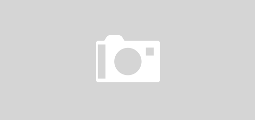 Heavy Machinery Parade Auction November – Chiba, Japan